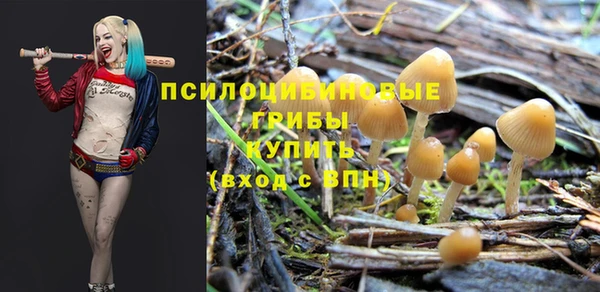 apvp Арсеньев