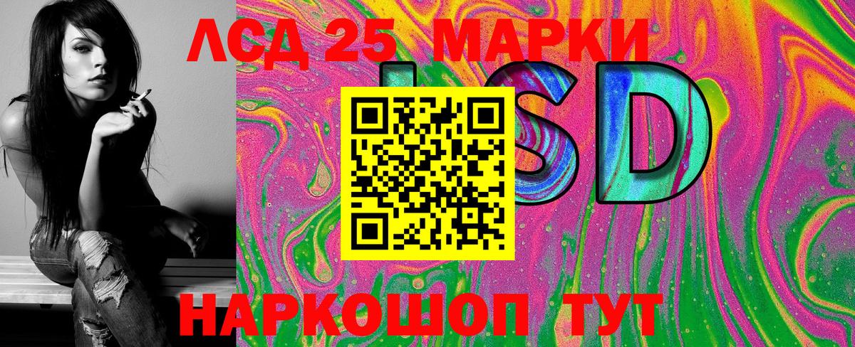 Псилоцибиновые грибы Кирово-Чепецк
