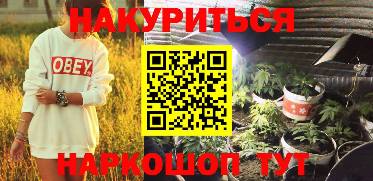 Кирово-Чепецк  МАРИХУАНА сатива  Вход с VPN  Шишки марихуана планчик  Бошки марихуана White Widow  Каннабис тримм 